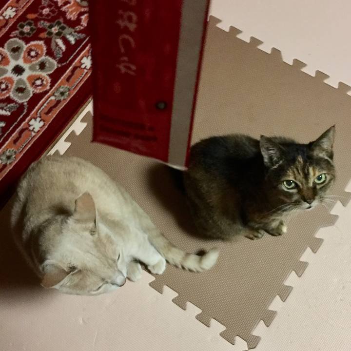 5a12aee4 f15d 43ea 8db2 86d9b68a2794 1571138693287