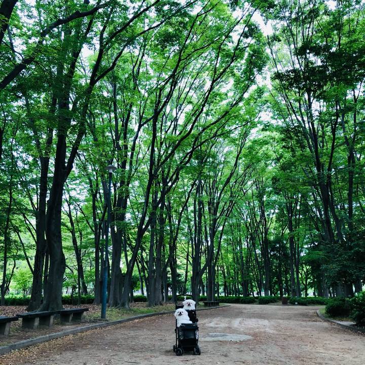 5a12b0a1 9670 4adc adc2 c9327f408bc5 1621038009215