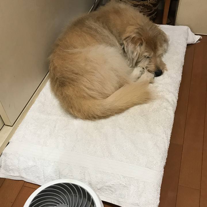 5a12f3b9 a300 4f42 a159 2c8a37b5de61 1628154970122