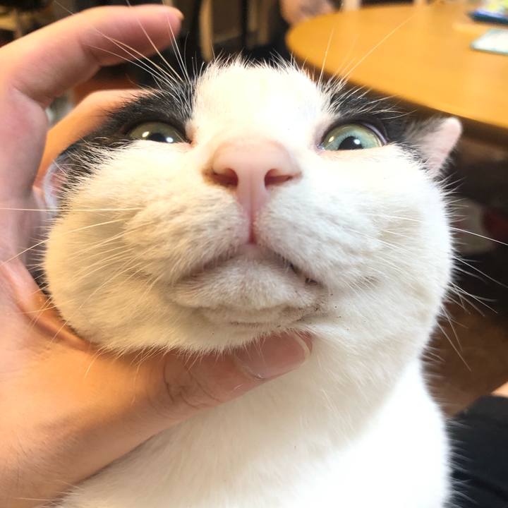 5a13319b 5abc 4820 86ce a36a931be8ae 1562937973724