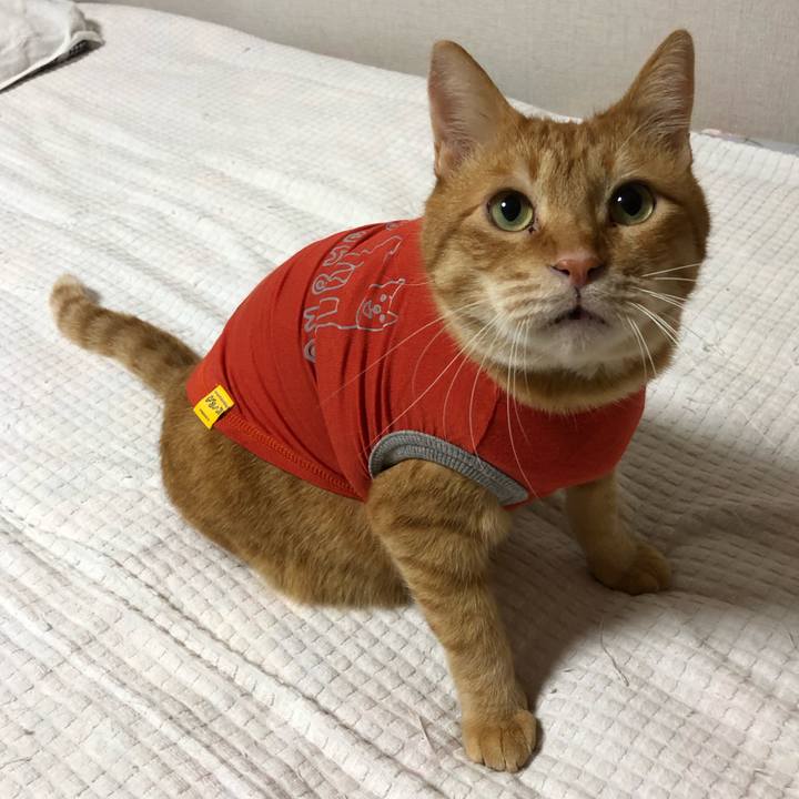 5a13343e e196 4614 8784 fb7d9a296d76 1591628201506