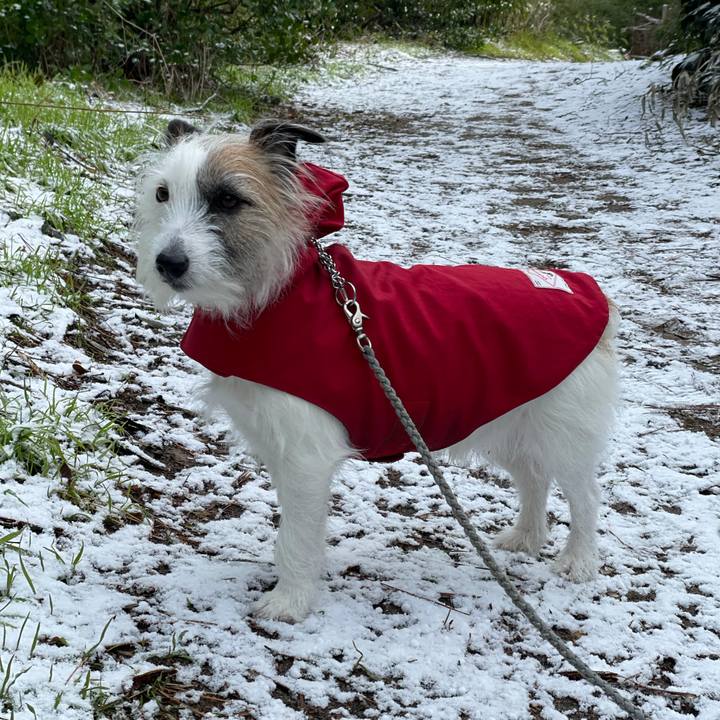 5a1337ba ce5d 4a6f bd55 2e2baf85aaff 1613607072512