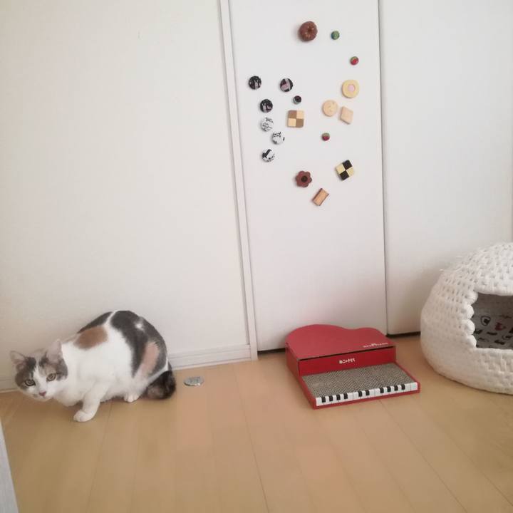 5a1354b3 f62a 44cd b623 4f72b1796d67 1551921845717