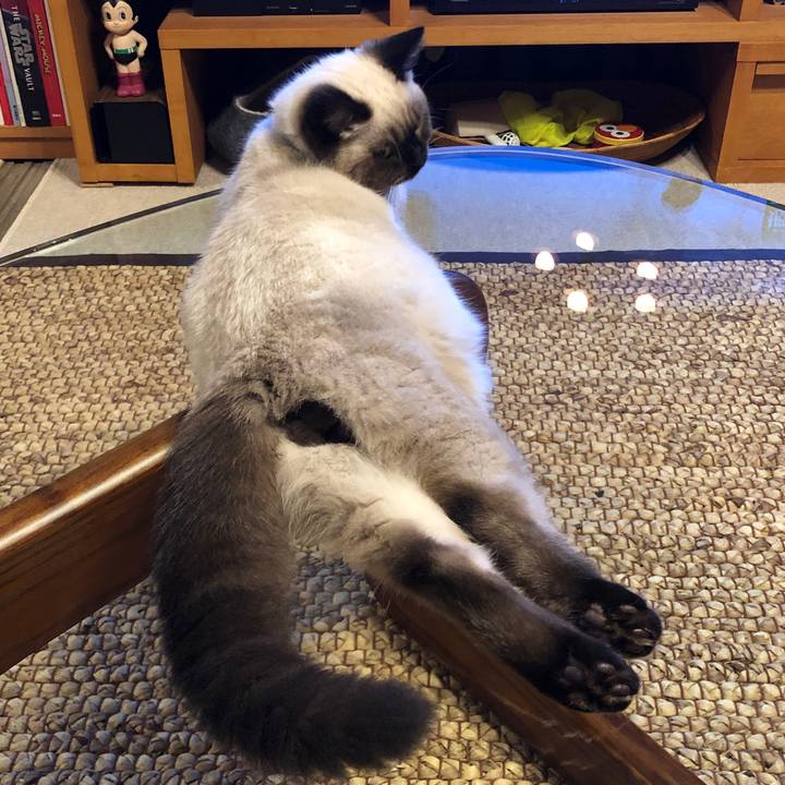 5a136327 2e44 4949 a3fb ecb18107199c 1592617081114