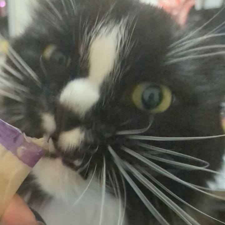 5a13acfa bd53 4916 bbf8 422ddce6b767 1719921878866