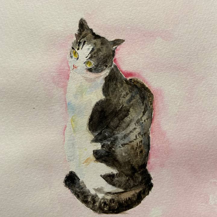 5a13bcc2 dc3e 4e64 883e f76fdcdc1b31 1598368248110