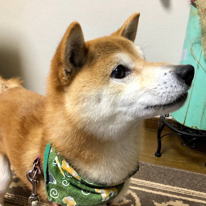 5a13bf0d 676a 4ccd 9da2 135c5b79c493 1553258937001