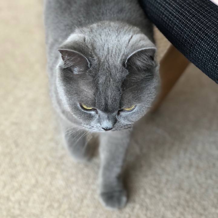 5a13f070 08b6 4b4c 8204 b5fa32fe1a8d 1525312216195