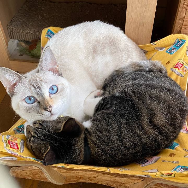 5a13f211 20a0 4cc4 a2af bb29fbc537cb 1663895715516