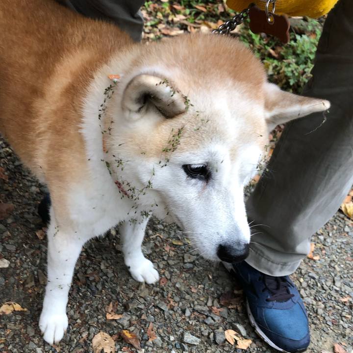 5a1400e8 12a9 4196 baf5 28d1749f816e 1573281782504