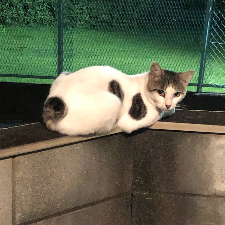 5a141540 5f28 44af 84bc 0a8f68d55770 1597216347867