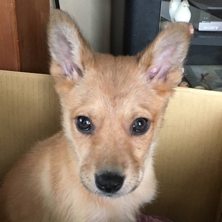 5a145845 c00f 4962 8ce5 4d0a5e8ee877 1583827612020