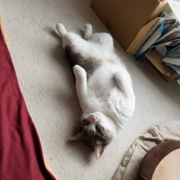 5a14849f 4301 4208 ae1a 064821bf3c82 1648348885506