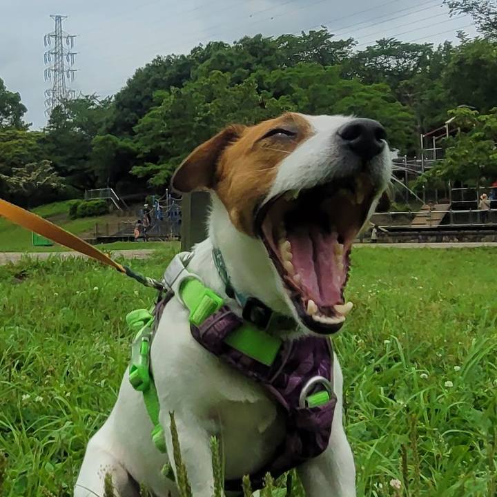 5a149be1 71c9 4e23 91b4 e3e2911d9e62 1686382963749