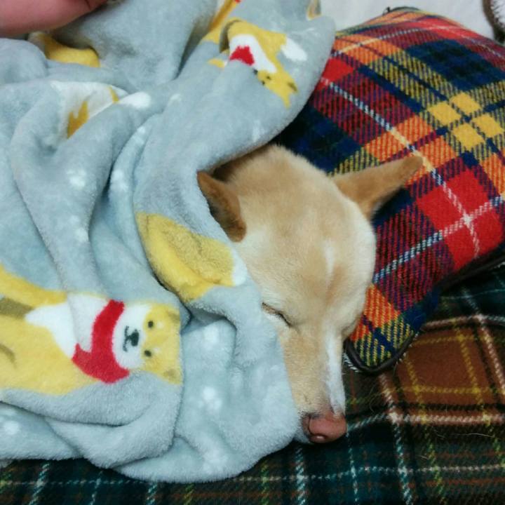 5a14afa4 9394 434c 851f 98bedfd16f5f 1514206615480