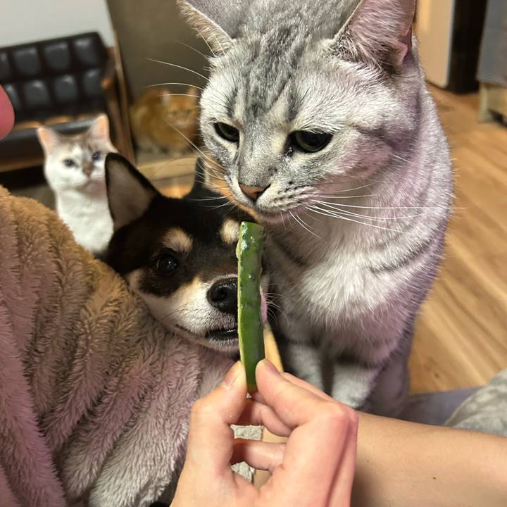 5a14b8d6 5efe 43b3 8371 6c728fedd67d 1737557287432