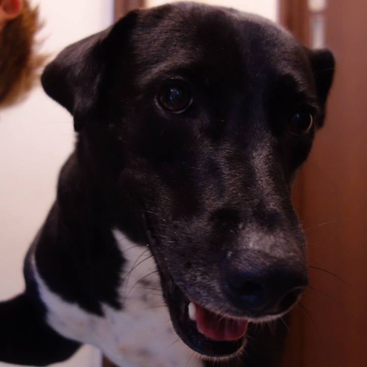 5a1506c9 2618 4f5b 8f9d 2ac68ab603ba 1594682361416