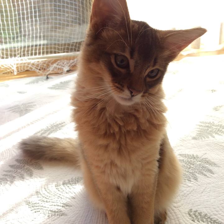 5a151fd8 28bf 489d 8b2c 1f98d9ae9fd3 1573866367366