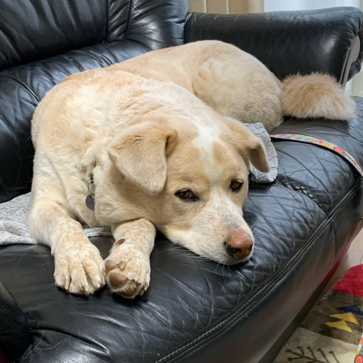 5a154687 1e48 4f3d ac62 5a7f743b7990 1579331718663