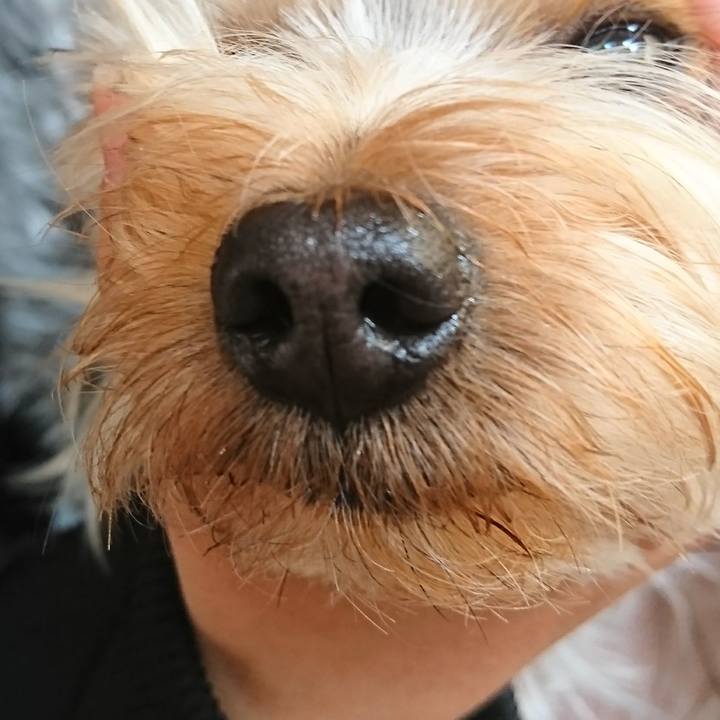 5a15592d 3326 457e 88b5 8af06193eb2a 1523834349750