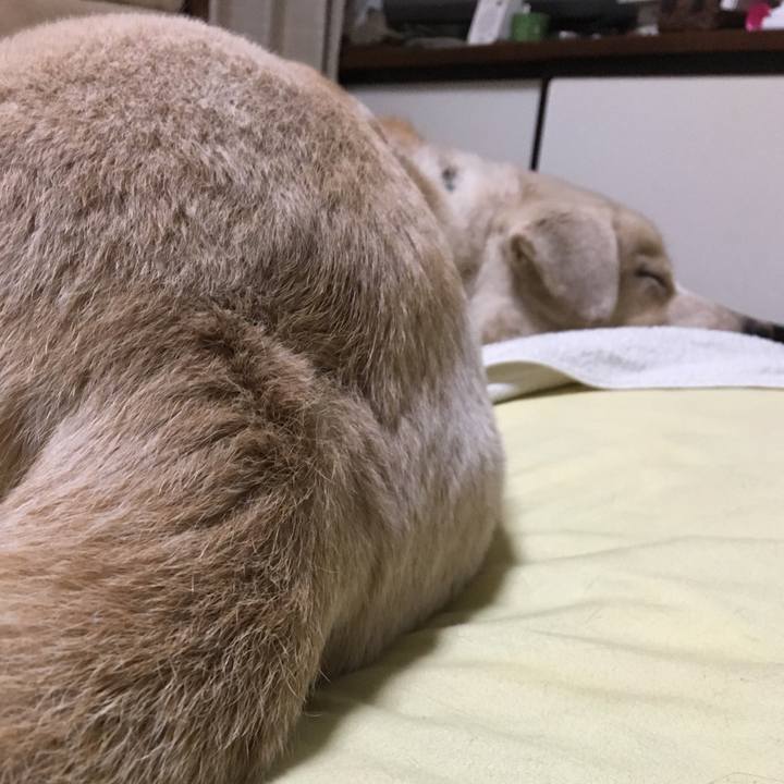 5a1560f0 1942 45df 80ba 7ab640d5c3ba 1532271966504