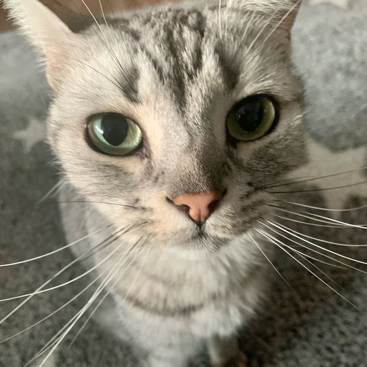 5a1597ab 12e3 4e07 9d08 8de929a4c7c5 1649839964607