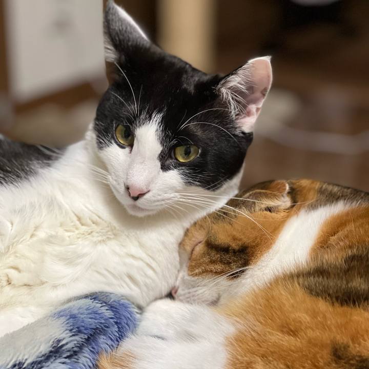 5a15a12d 17e4 49a0 be97 94ab002f37cb 1637574471025