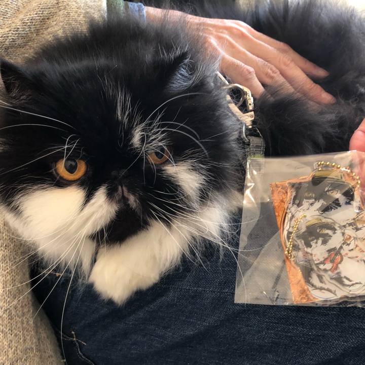 5a15bb83 d3bf 4ad6 94b8 09679bd30ed0 1743339459924