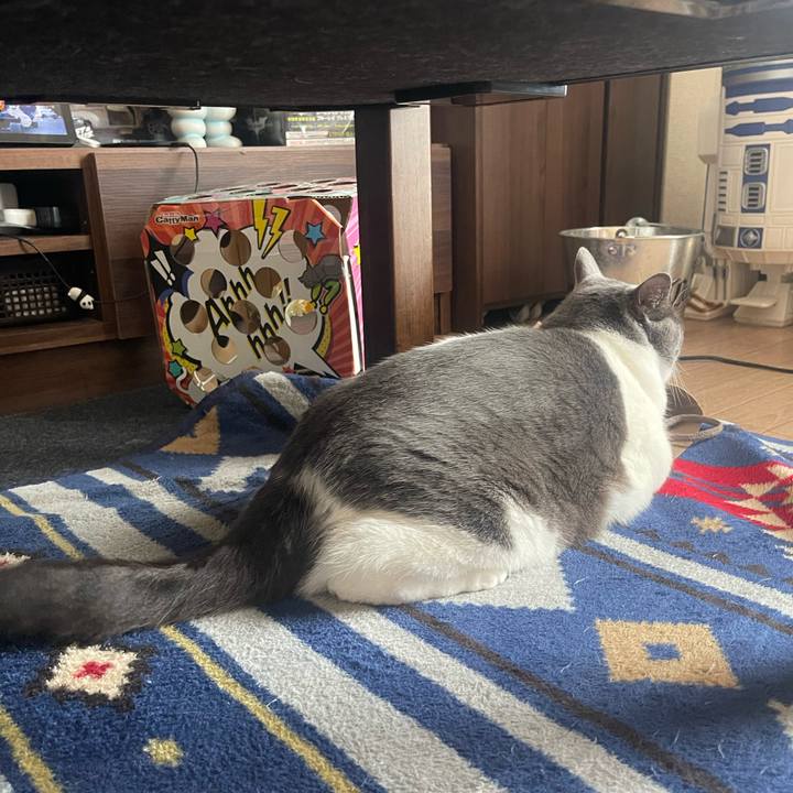 5a162b16 1e7b 451a a2b9 7dee9790a432 1686623900554