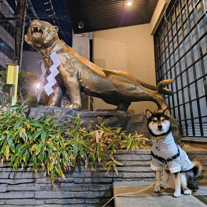 5a163bae a96a 4d8f 8a9b c9b24d8473a4 1764431088100