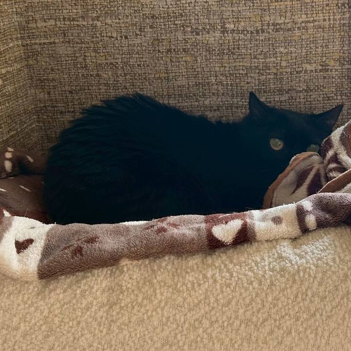 5a16580d 985a 4d1a b67c 9fbe2d8cc3b5 1749445422638