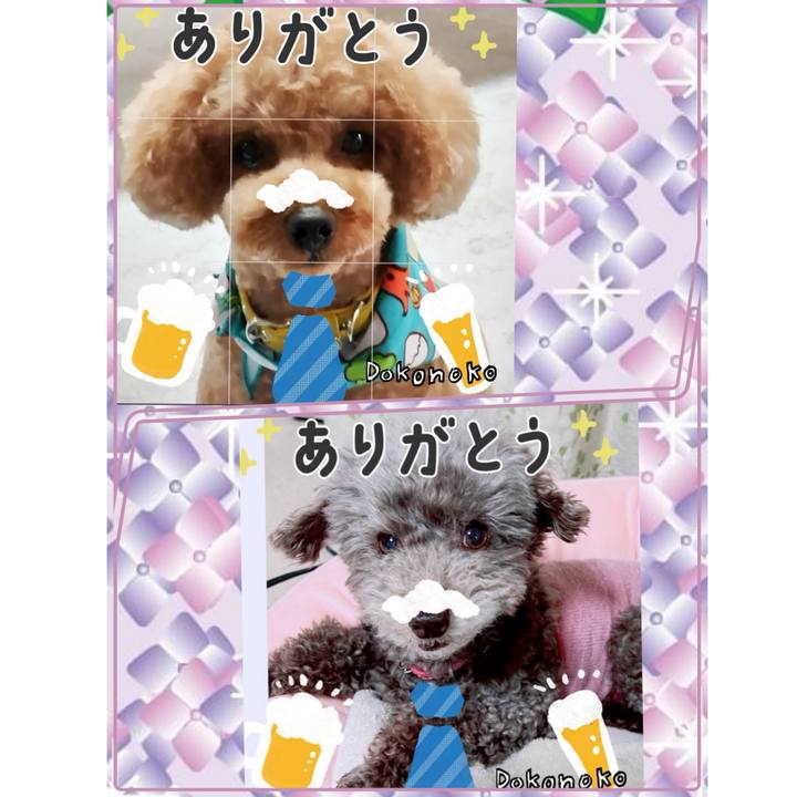 5a1670f9 0d57 45e8 b34f 9c34eca00a29 1717715586564