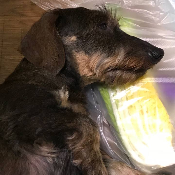 5a168e4e 4f97 4231 a519 66c42f52607e 1527596156324