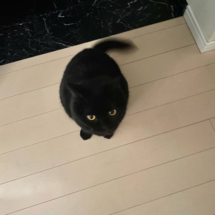 5a1693f7 e0e7 4bc9 aa7c c7c9d7858fb2 1715175307857