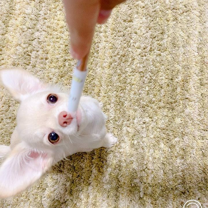 5a169702 7fce 4556 8171 f6b3a6367c50 1592726614114