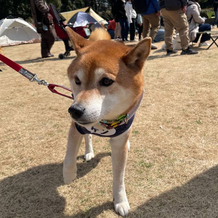 5a16c60f e53a 4ea4 b52b 84ea99bd86e7 1741617664088