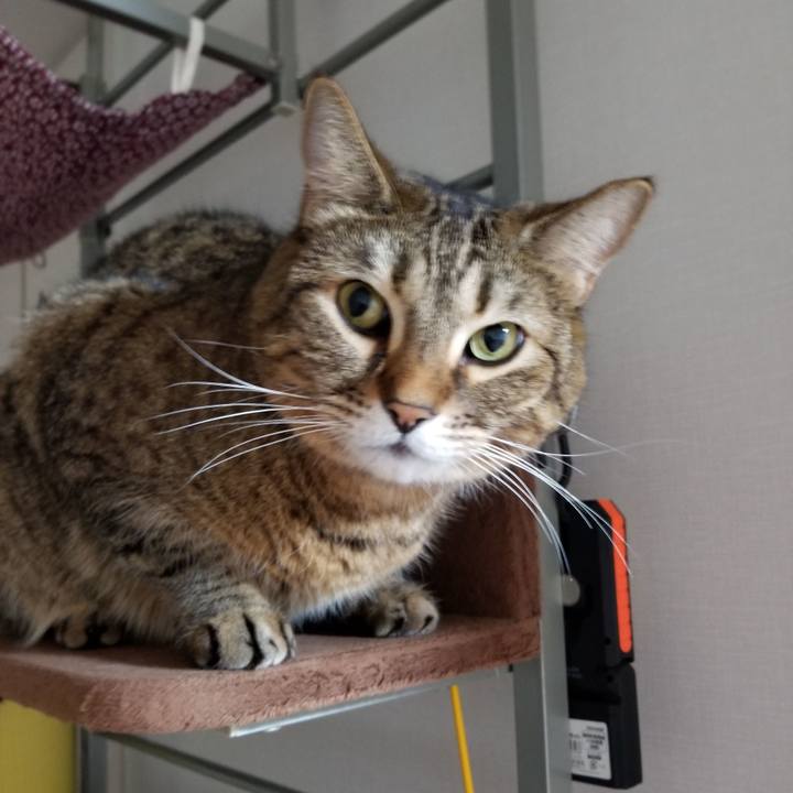 5a16c6ea a30c 4023 8bc8 59b4a5acf6aa 1608586736663