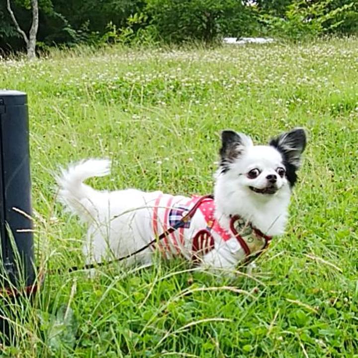 5a171f5e 0810 449b 8b24 e6dcd2677275 1669037500609