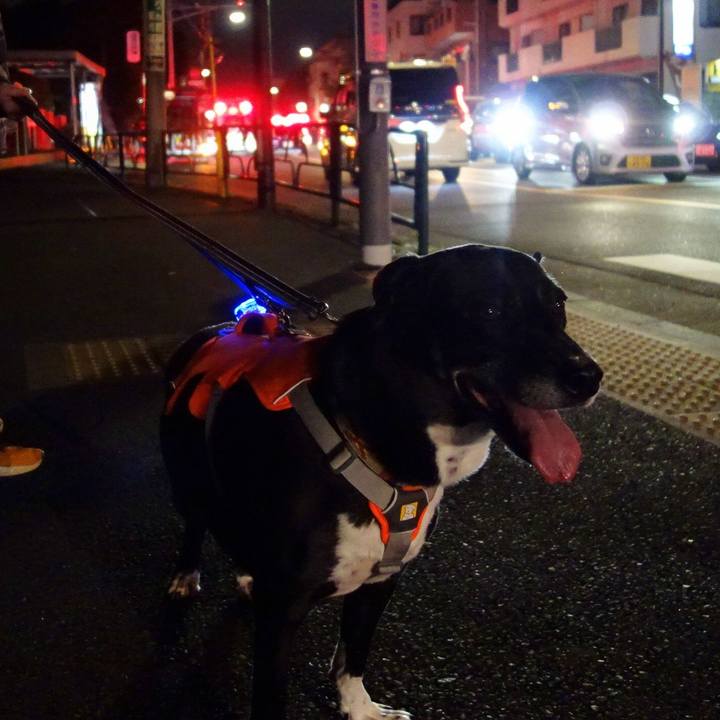 5a17317c 1caf 4f76 b965 321320cdbd2e 1727348733443