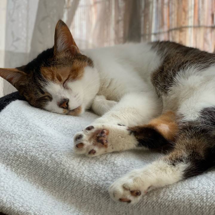 5a174b17 5c19 4431 a25e 9e63ecddf06c 1647237740006