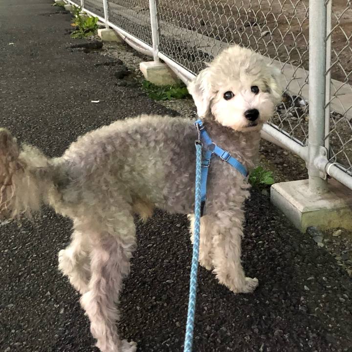 5a1759ac 86f3 4c15 96b1 852e658ac654 1573039255511