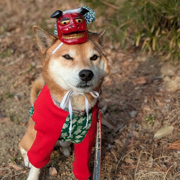 5a178034 f1bb 4164 bb33 74752d34b673 1736084541267