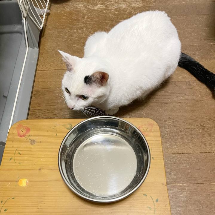 5a1788ef 23f8 42a9 a20f 1f8cd22c81a5 1767010327735