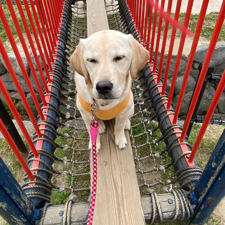 5a178d24 a367 4f32 a7b8 7359a427546f 1618211503085