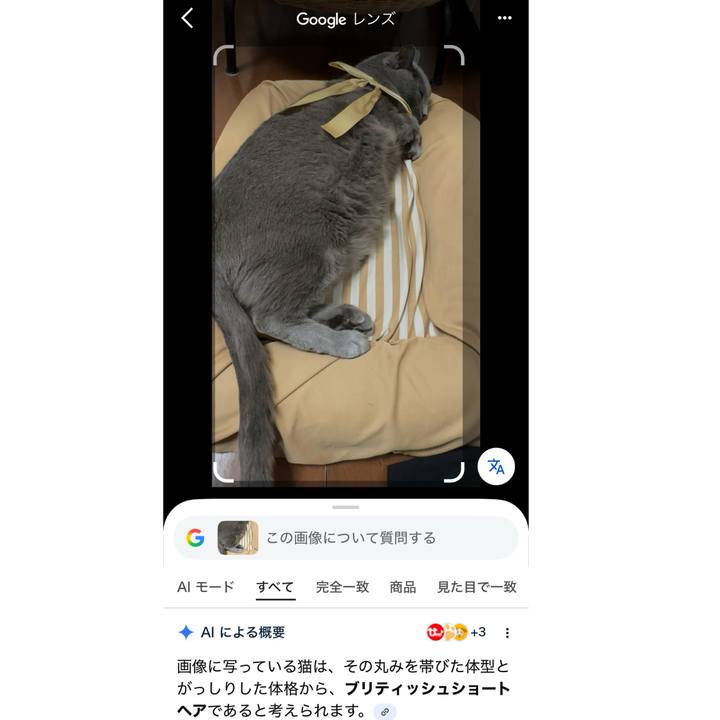 5a179b4a 390e 48c3 b49d 4ca24f031759 1766921884966