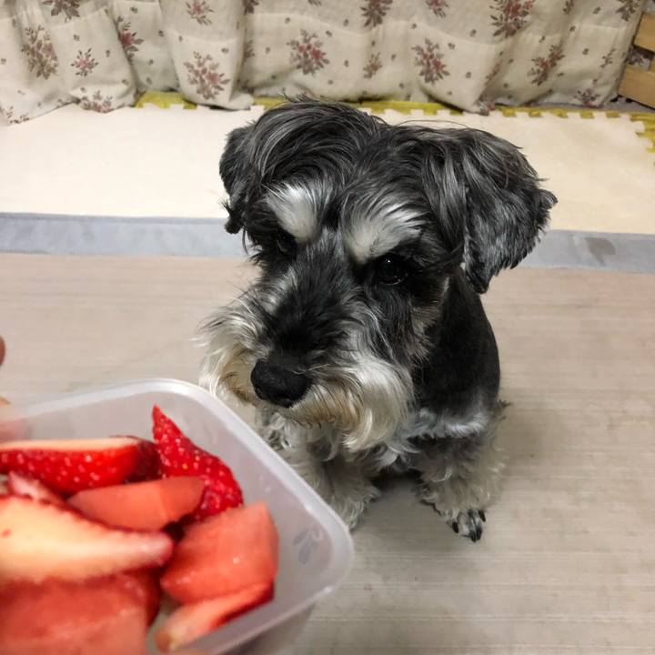 5a179e22 af72 45c2 bbba 0aaee48d2fce 1652880989103