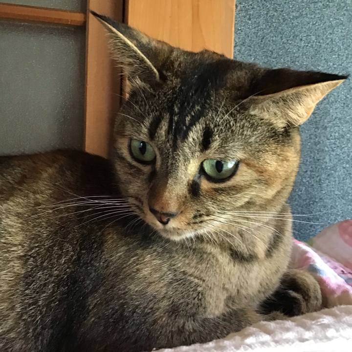 5a17aee0 1553 42fb 8ef4 a04110bda37d 1629856904445