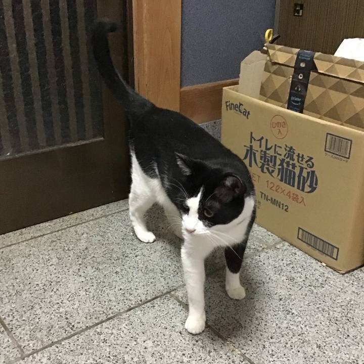 5a17b333 c323 4654 842b de8bf436fda3 1695900138081