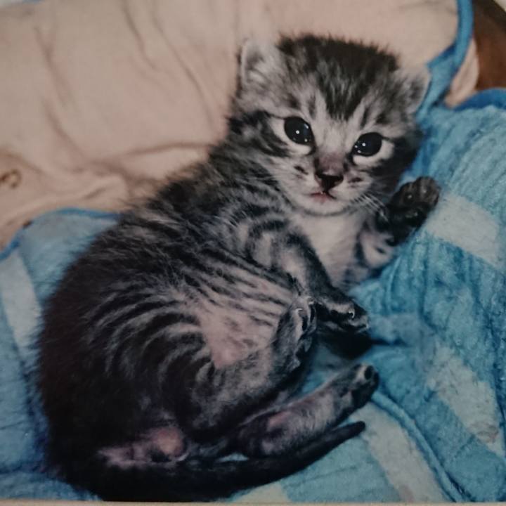 5a17caec 3988 48a5 ba81 feaf27efad53 1588647021287