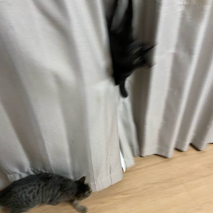 5a1813ff 487d 49e7 95e7 77191837c8dc 1619435053044